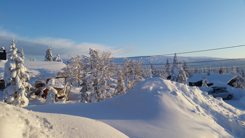 Utsikt från stugan